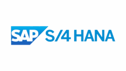 SAP consultant delivering application management services for RISE with SAP S/4HANA
