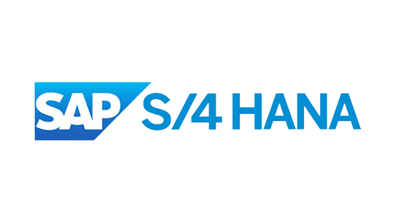 SAP consultant delivering application management services for RISE with SAP S/4HANA