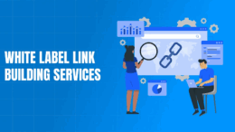 white label link building
