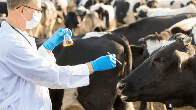 veterinary medicine company