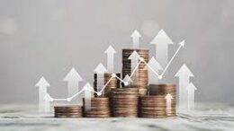 portfolio management firm