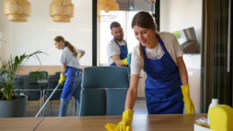 Professional cleaning end of tenancy