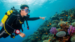 Divemaster course in Koh Tao