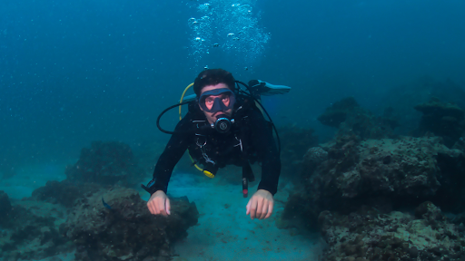 divemaster course in Koh Tao