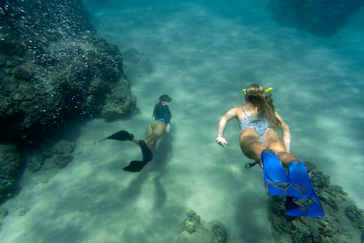 koh tao diving course