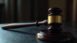 appellate litigation