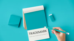 US trademark filing process