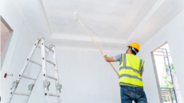 Perth professional painters