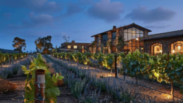 Napa Valley wineries