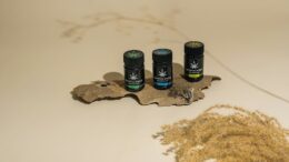 organic cbd lip balm