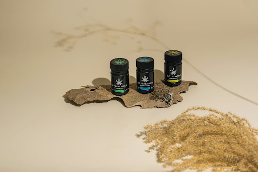 organic cbd lip balm