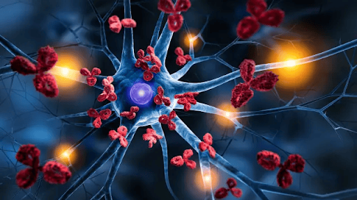 Cell Toxicity Assay