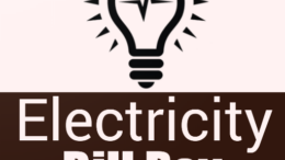 APEPDCL